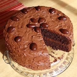 Шоколадні торти